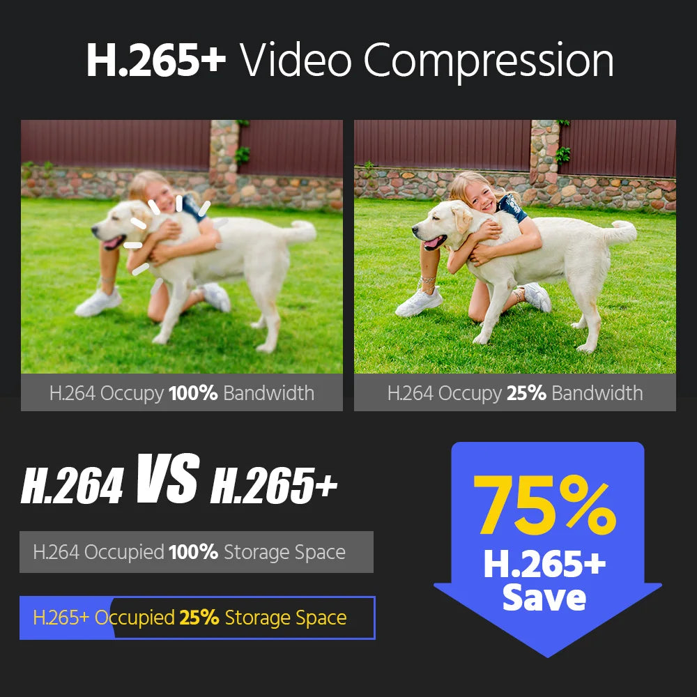 ANNKE 12MP POE Video Surveillance System 8CH NVR 12MP Security Cameras CCTV Kit Audio Recording Ip camera Color/IR Night Vision