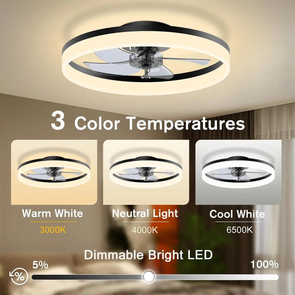 Ceiling Fan with Light Remote Control Modern Silent 6-speed LED Light Fan Smart Ceiling Fan For Bedroom  Living Room Decoration